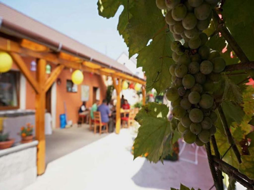 Privat Bohemia Hotel Šatov Exterior foto